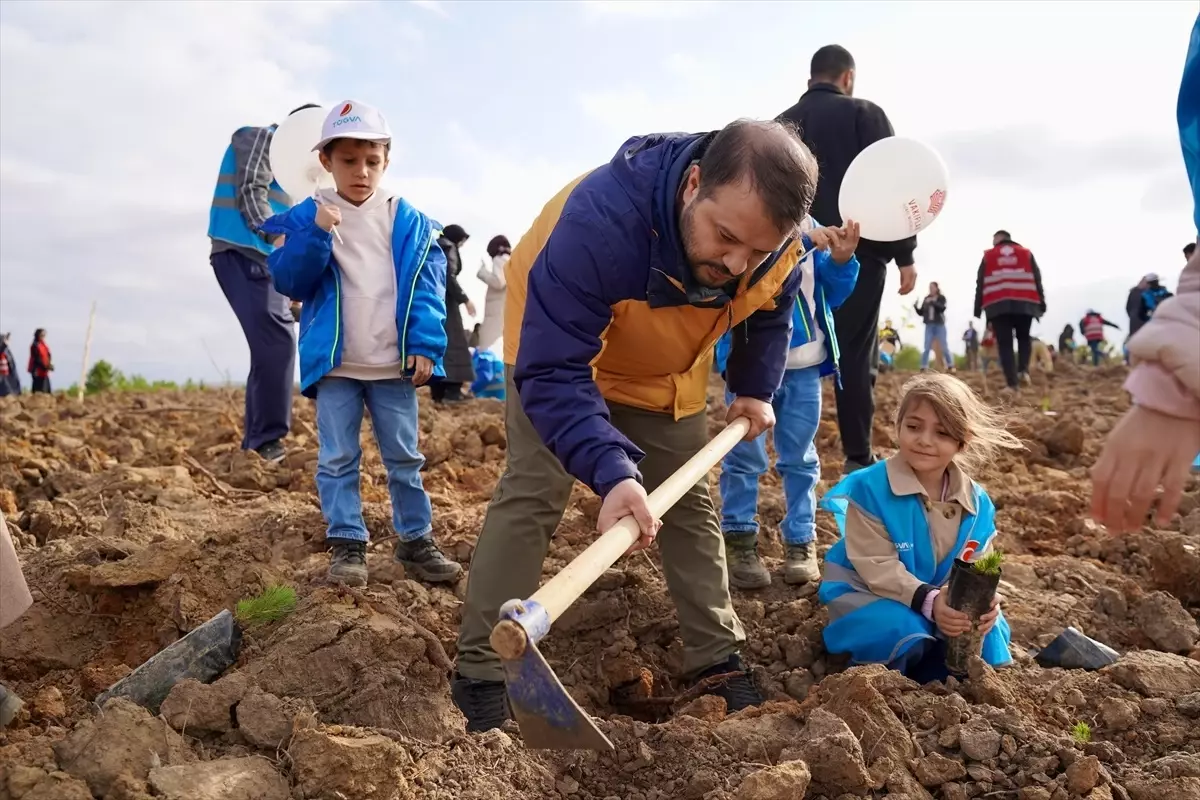 TÜGVA’dan 50 Bin Fidan Dikimi