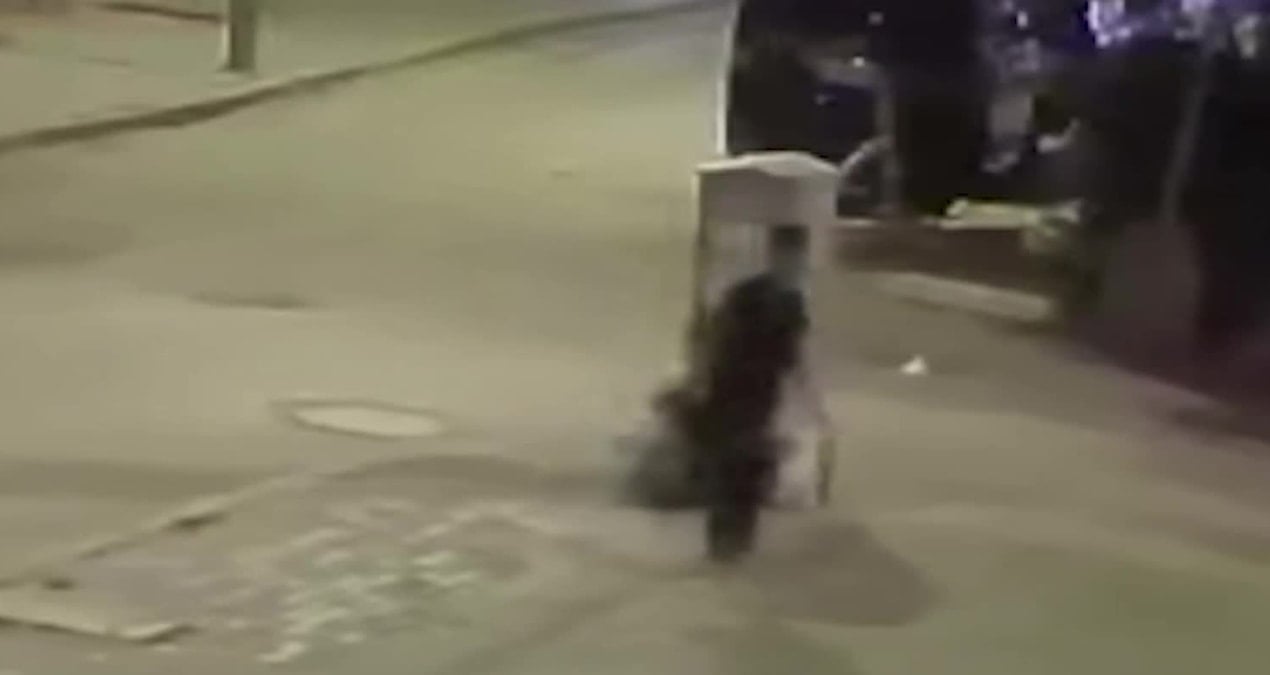 aksarayda yavru kediye iskence defalarca firlatarak oldurdu emze693W