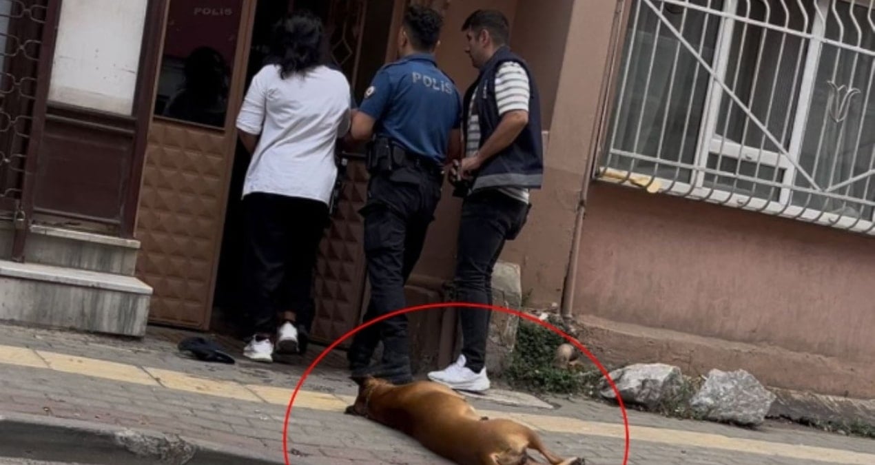 ihbara giden polislerden birini kopek digerini de sahibi isirdi ecdTw2be