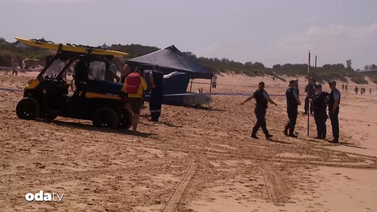 sydneyde kopekbaligi dehseti 1 olu GKK3aheq