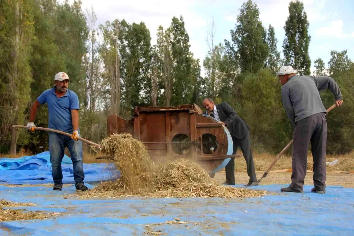 geleneksel yontemlerle ata tohumu fasulye uretimi KrC3VsbY