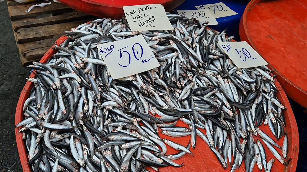 hamside fiyatlar dustu sigaradan ucuz wKLcPylw.jpg