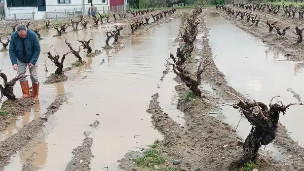 Elazığ’da Dolu Felaketi Tarım Alanlarını Vurdu