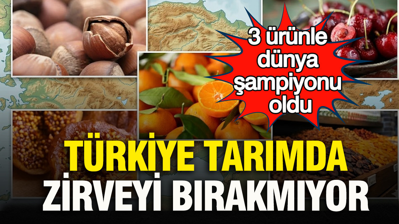 Türkiye Tarımda Dünyaya Damgasını Vuruyor: Üç Ürünle Şampiyonluk Elde Etti