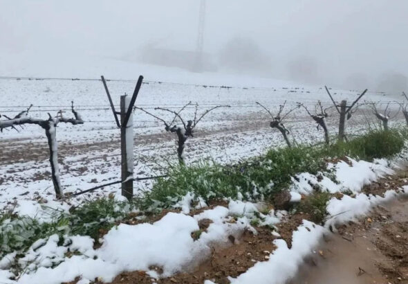 ani-hava-degisimi-ureticiyi-zorladi-jKgKTede