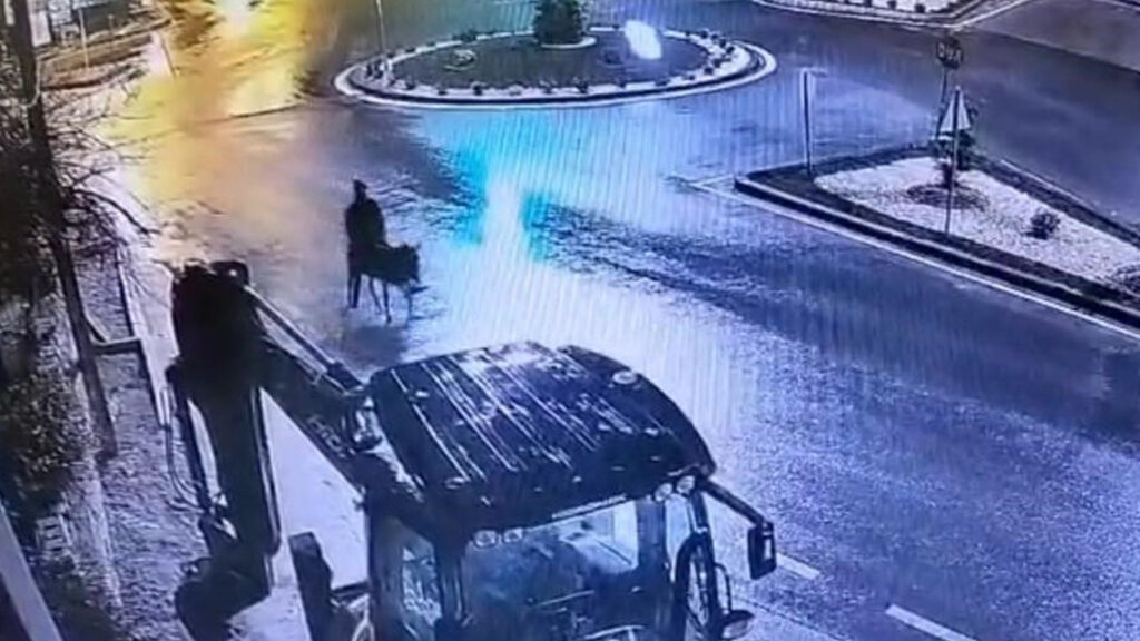 Kayseri’de Eşekle Kaçan Hırsız: Forkliftle Soygunun Ardındaki Şok Edici Detaylar