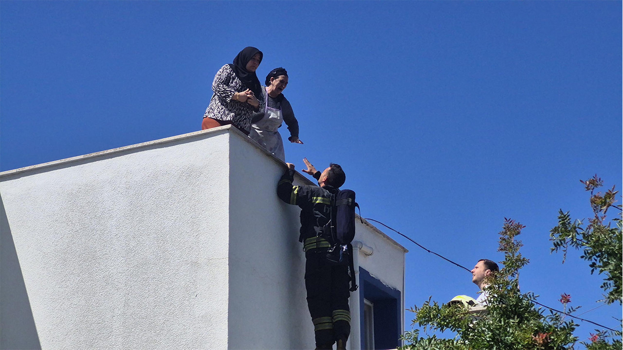 Kuş Çarpması Yangın Çıkardı, Bina Faciaya Yaklaştı